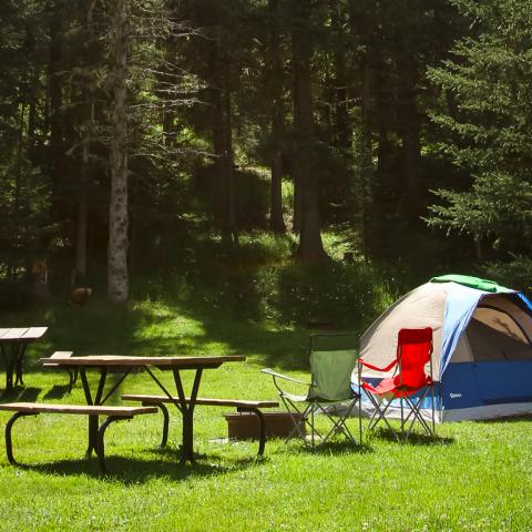 Tent Camping